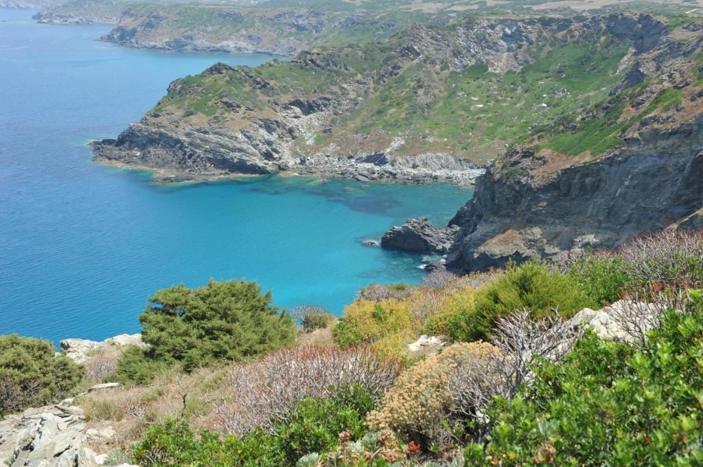 Agriturismo Finagliosu Palmadula Eksteriør billede