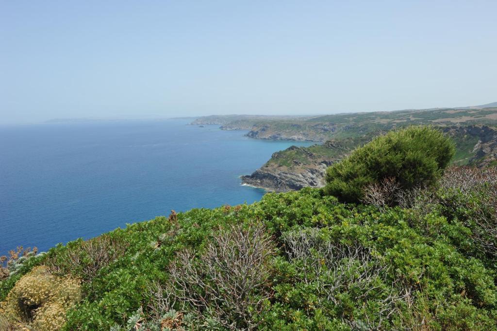 Agriturismo Finagliosu Palmadula Eksteriør billede