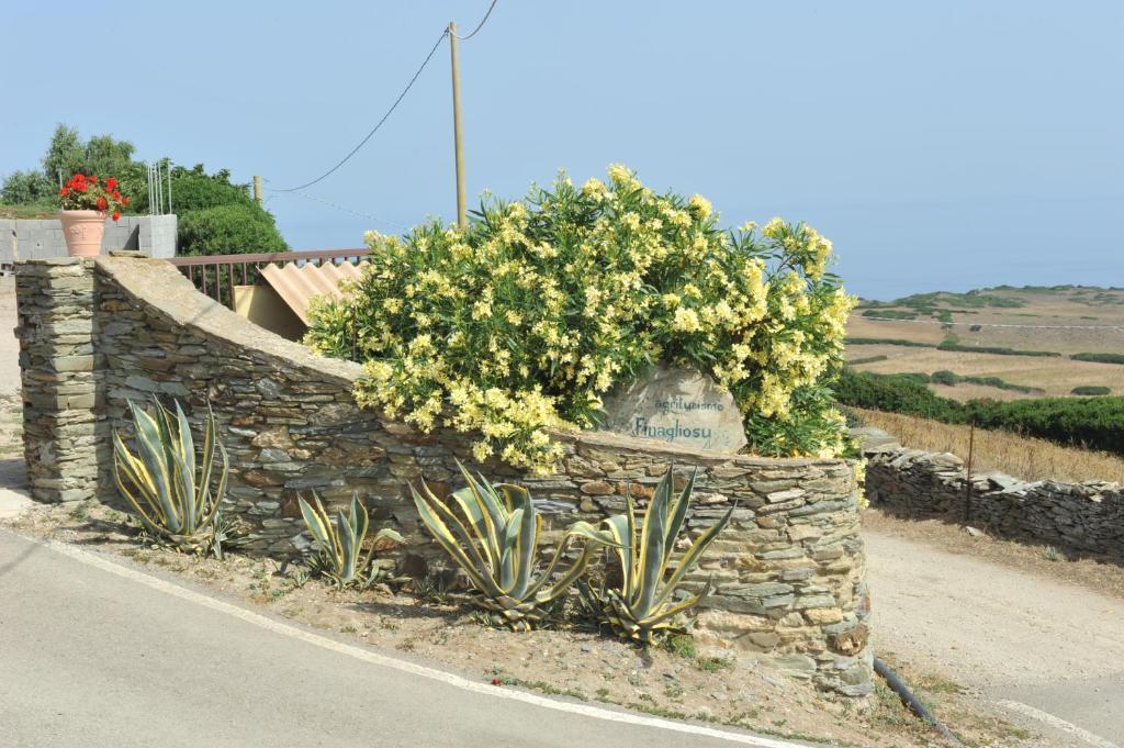 Agriturismo Finagliosu Palmadula Eksteriør billede